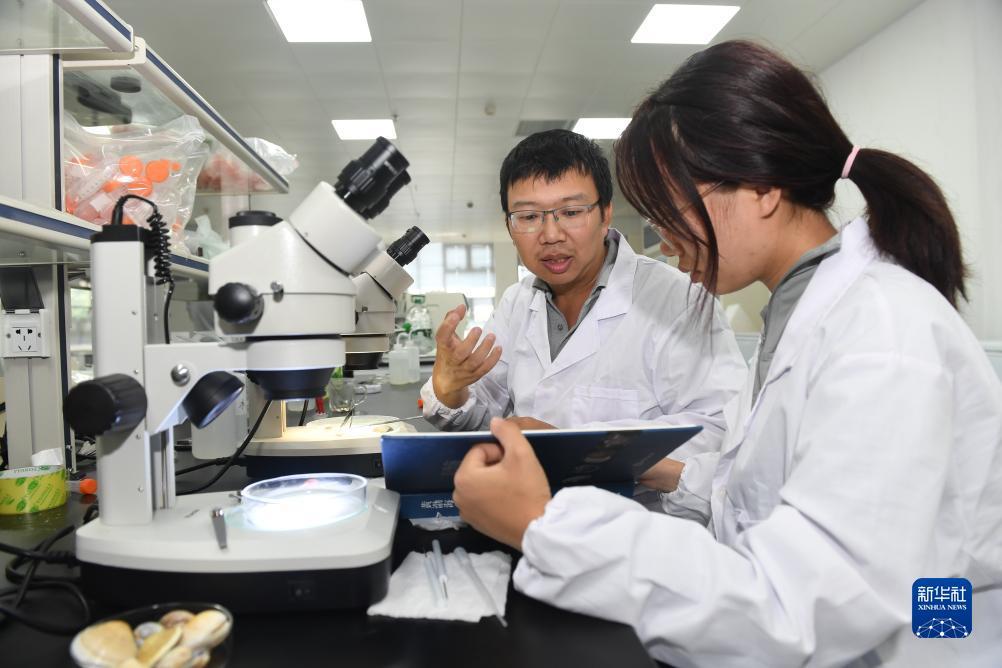 乐玩游戏下载页